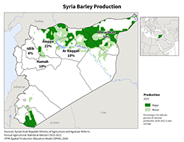 images\SY\cropprod\Syria_Barley_preview.jpg